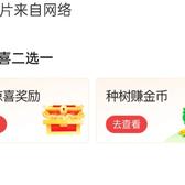 认真喀什0y9头像