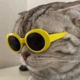 地板油勇士头像