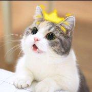 crystaldx的个人资料头像