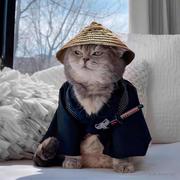 张益达的养乐多的个人资料头像