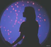 黄恍的个人资料头像