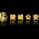 德州陵城公安
                        头像