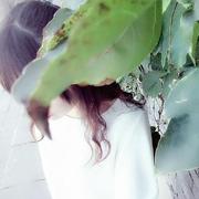 薛定猫的谔eeee的个人资料头像