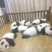 早睡身体好h的个人资料头像