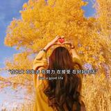 少年你还是太年轻W头像