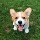 wanli同学的个人资料头像