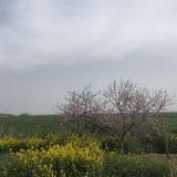 尘土流年头像