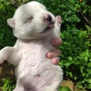 Juwuba的个人资料头像