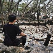 波比波比波比波比的个人资料头像