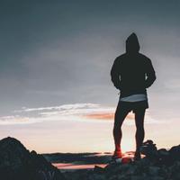 狡猾的鱼丸头像