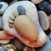 dengkp的个人资料头像