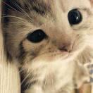 你会不会相信光的个人资料头像