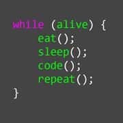 躁动的个人资料头像