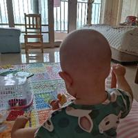 坚强快跑PT027头像