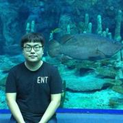 aizaoqi的个人资料头像