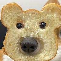 奇妙阳光WEJ头像