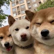 cxtao的个人资料头像