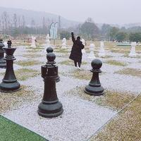 专拱好菜的猪头像