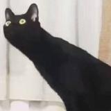 用户698253188671头像