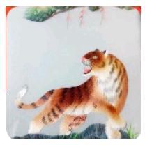 喜欢写草书头像
