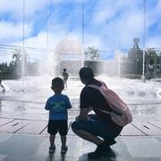 iPanda的个人资料头像