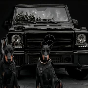 小田田说车头像