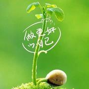 王浩157的个人资料头像