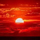 无花果622189头像