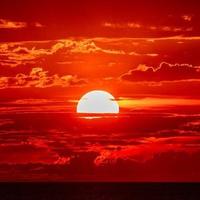 无花果622189头像