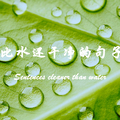 童文泽头像