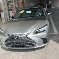 雷克很萨斯头像