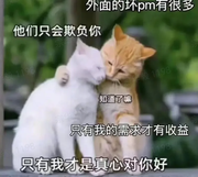 MuggleStarter的个人资料头像