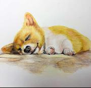 sunnyCodeMr的个人资料头像