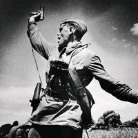 健康阿萨7Z头像