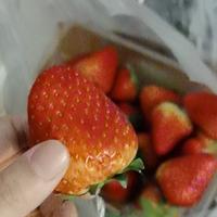 小方了头像