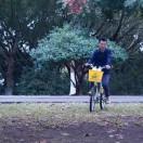 独孤若辉的个人资料头像