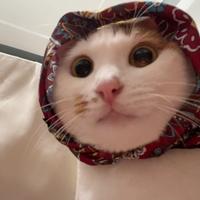 一定会成为老司机的头像