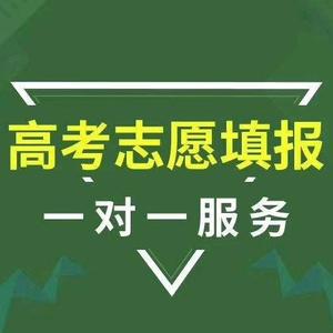 云南高考志愿填报指导老师头像