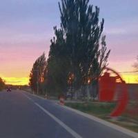 沫沫123囖头像