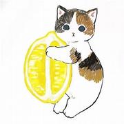 贾期炽的浩的个人资料头像