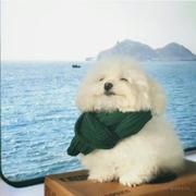 米咪的个人资料头像