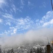 哇哇601的个人资料头像