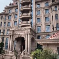 顽强西柚QN头像