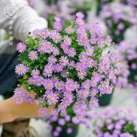 用户7103844856861头像