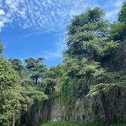 杨小飞的个人资料头像