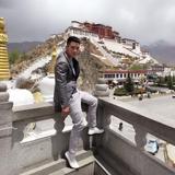 心碎谁敷衍头像