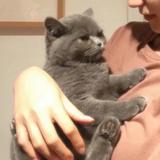 用户7967723585913头像