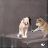 on air头像