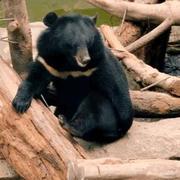 海鸥鸥的个人资料头像