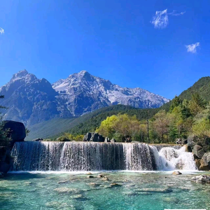 月下柳剑头像